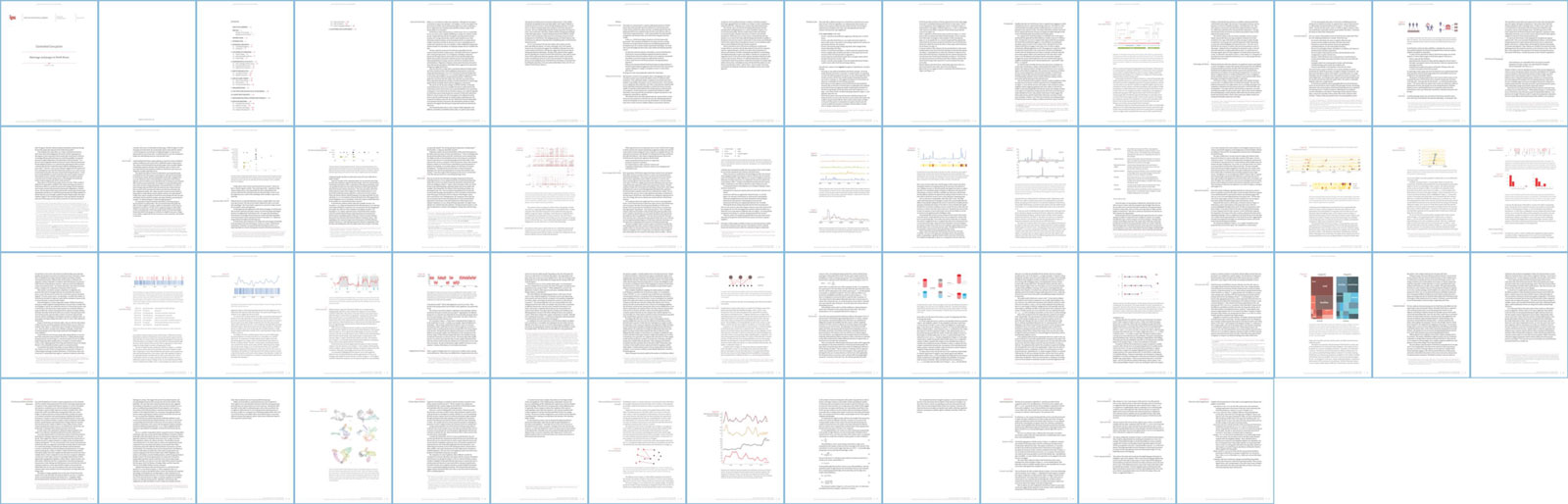 thumbnails of pages from a typical report